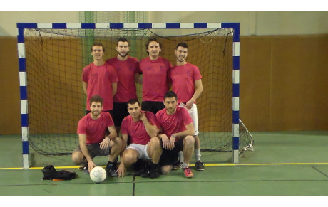 team anim